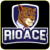 RioAce Sportsbook